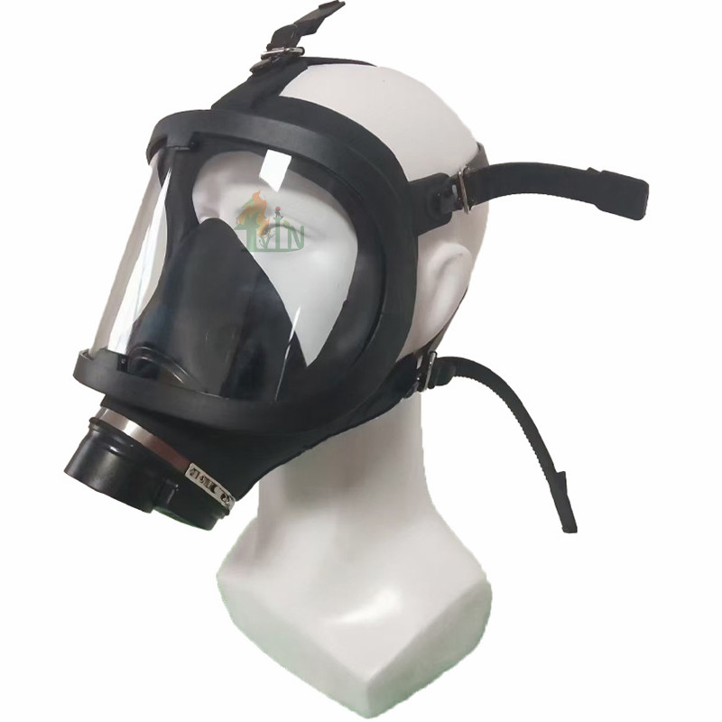 LV-GS1004 GasMask