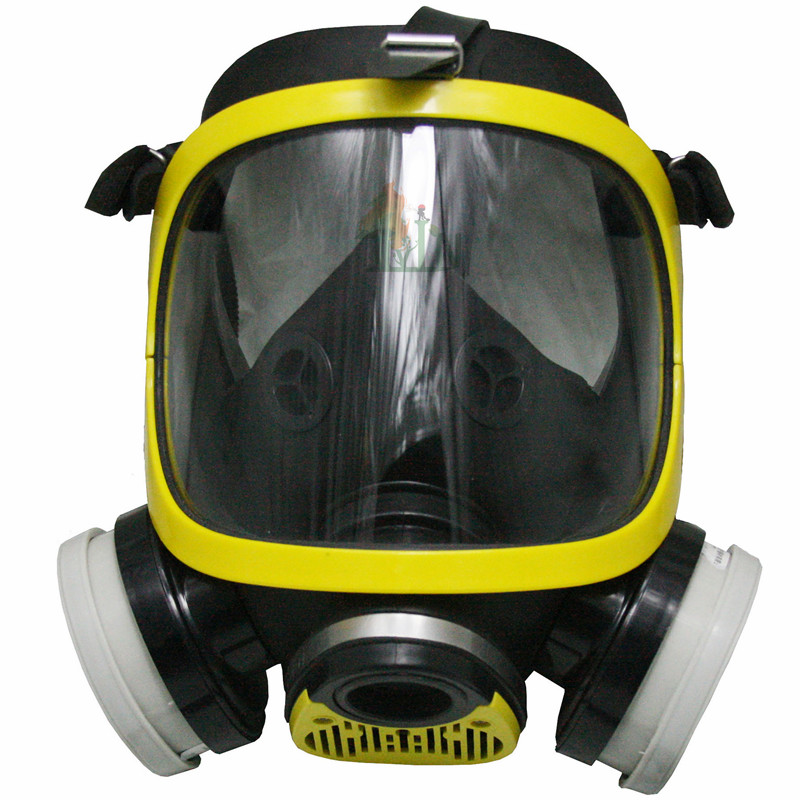 LV-GS2004 GasMask